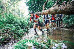 BIB: 
                            <button type="button" onclick="openModal(25459061)" class="btn btn-primary btn-sm float-right btn-popup" data-toggle="modal" data-target=".modal-high-quality">
                        <i class="fas fa-shopping-cart"></i> Add to Cart
                    </button>
                                            <button type="button" onclick="isThisMe(25459061, true)" class="btn btn-success btn-sm float-right btn-popup btn-isme hidden" data-toggle="tooltip" data-placement="bottom" title="นี่คือรูปของคุณใช่ไหม คลิกที่นี่เพื่อเอาเข้าอัลบั้ม">
                        <i class="fas fa-plus"></i> Add to album
                    </button>
                    <button type="button" onclick="isThisMe(25459061, false)" class="btn btn-warning btn-sm float-right btn-popup btn-isnotme hidden">
                        <i class="fas fa-ban"></i> Remove from album
                    </button>